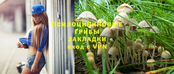 стафф Мегион