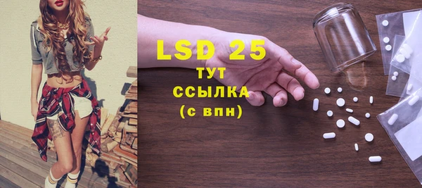 ПСИЛОЦИБИНОВЫЕ ГРИБЫ Михайлов