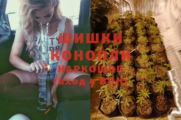 ПСИЛОЦИБИНОВЫЕ ГРИБЫ Михайлов