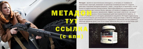 ПСИЛОЦИБИНОВЫЕ ГРИБЫ Михайлов